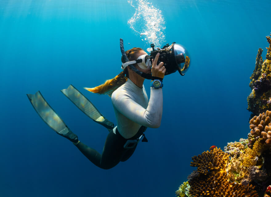 https://oceancreasta.com/wp-content/uploads/2024/06/port-2-4.jpg